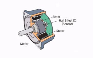 brushless motor