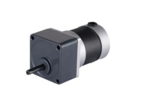 Gear Reduction Brushless Motor | ICAN